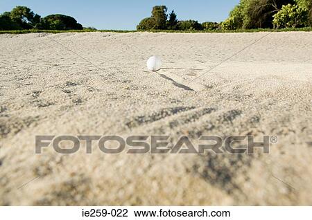 A golf ball in a sand trap View Large Photo Image Stock Image - A golf ball in a sand trap. Fotosearch