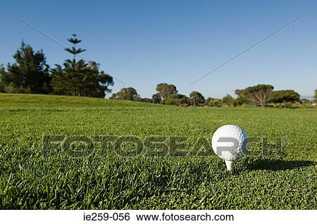 A golf ball on a tee View Large Photo Image Stock Photograph - A golf ball on a tee. Fotosearch
