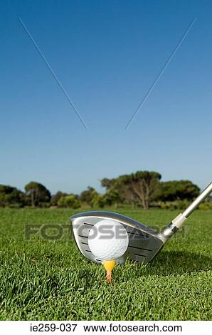 Golf ball and golf club View Large Photo Image Stock Photo - Golf ball and golf club. Fotosearch