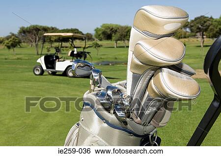 Golf clubs in a golf bag View Large Photo Image Stock Photograph - Golf clubs in a golf bag. Fotosearch