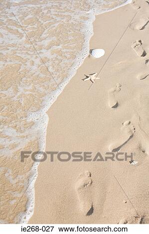 Footprints on a sandy beach View Large Photo Image Stock Photo - Footprints on a sandy beach. Fotosearch