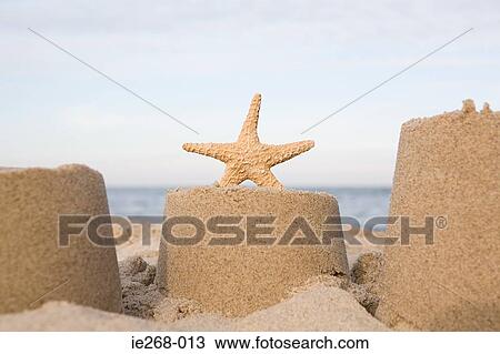 Starfish and a sand castle View Large Photo Image Stock Image - Starfish and a sand castle. Fotosearch