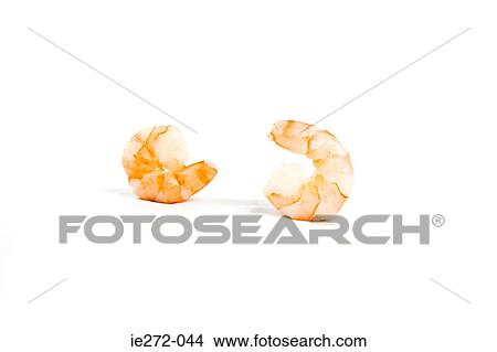 Two prawns View Large Photo Image Picture - Two prawns. Fotosearch