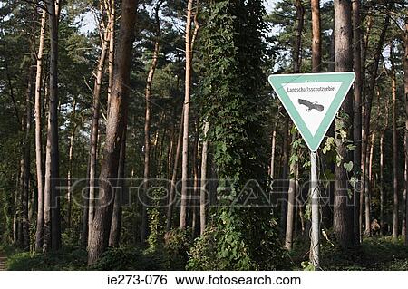 A sign View Large Photo Image Stock Photograph - A sign. Fotosearch