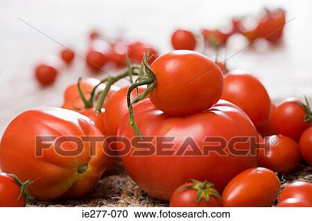 A variety of tomatoes View Large Photo Image Stock Image - A variety of tomatoes. Fotosearch
