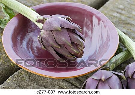Stock Photo - Artichokes. Fotosearch