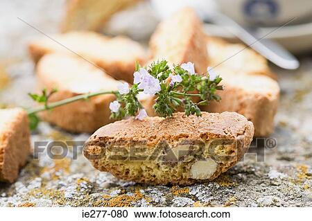 Biscotti View Large Photo Image Stock Image - Biscotti. Fotosearch