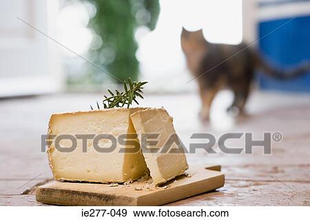 Cheese View Large Photo Image Stock Photo - Cheese. Fotosearch