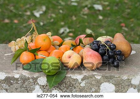 Fruit View Large Photo Image Picture - Fruit. Fotosearch