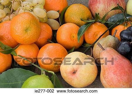 Fruit View Large Photo Image Stock Image - Fruit. Fotosearch