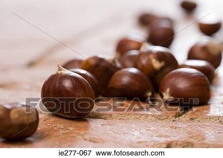 Hazelnuts View Large Photo Image Stock Photo - Hazelnuts. Fotosearch