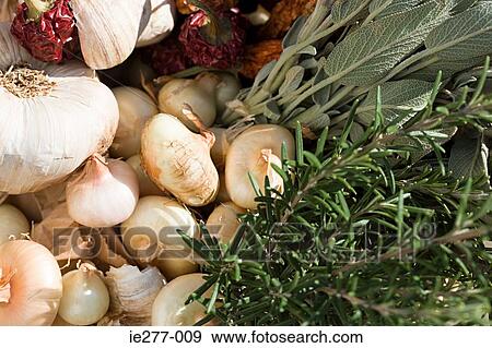 Herbs chilli pepper garlic and shallots View Large Photo Image Stock Photo - Herbs chilli pepper garlic and shallots. Fotosearch