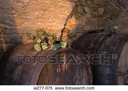 Stock Photography - Wine cellar. Fotosearch