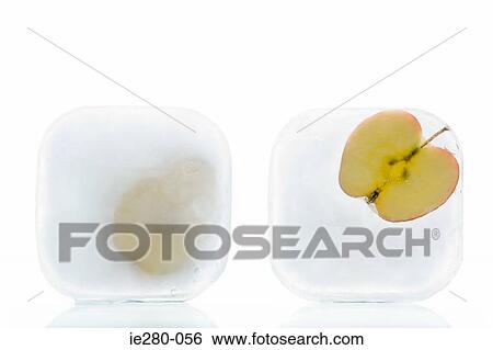 Frozen apple View Large Photo Image Stock Photograph - Frozen apple. Fotosearch