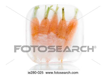 Frozen carrots View Large Photo Image Stock Photography - Frozen carrots. Fotosearch
