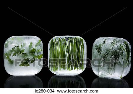 Frozen herbs View Large Photo Image Picture - Frozen herbs. Fotosearch