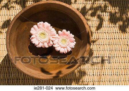 Flowers floating in a bowl View Large Photo Image Picture - Flowers floating in a bowl. Fotosearch