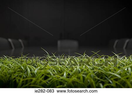 Grass on a conference table View Large Photo Image Stock Image - Grass on a conference table. Fotosearch
