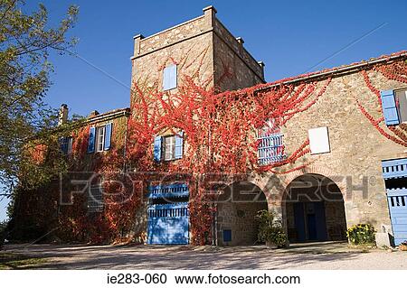 Ivy covered mansion View Large Photo Image Stock Image - Ivy covered mansion. Fotosearch
