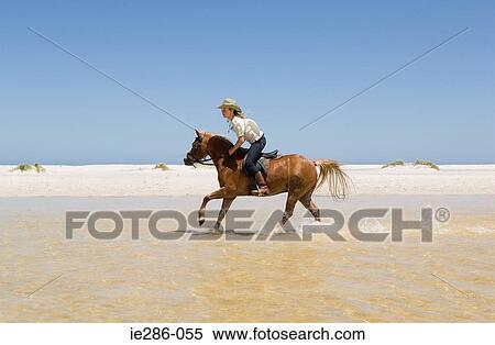 A girl riding a horse View Large Photo Image Stock Photography - A girl riding a horse. Fotosearch