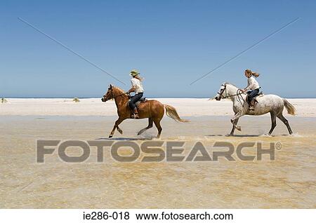 Two girls riding horses View Large Photo Image Stock Photo - Two girls riding horses. Fotosearch