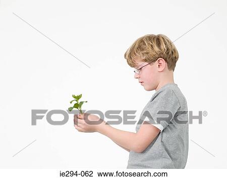 Stock Image - Boy holding a sapling. Fotosearch