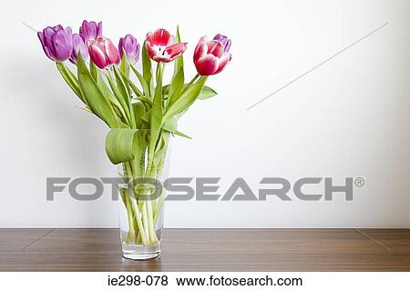 Tulips in a vase View Large Photo Image Stock Photo - Tulips in a vase. Fotosearch