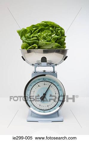 Lettuce on kitchen scales View Large Photo Image Stock Photography - Lettuce on kitchen scales. Fotosearch