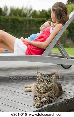 A cat with teenage girls in the background View Large Photo Image Stock Photography - A cat with teenage girls in the background. Fotosearch