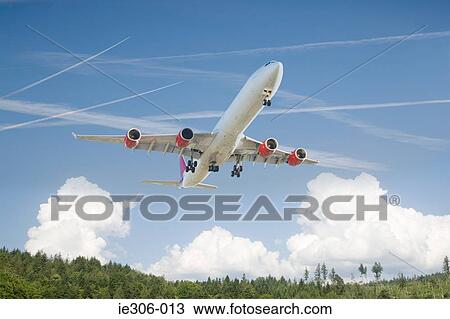 Airplane above a forest View Large Photo Image Stock Image - Airplane above a forest. Fotosearch