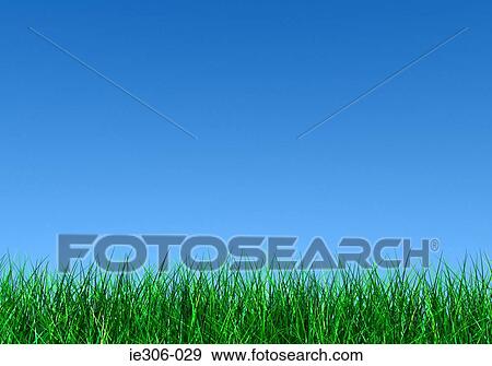 Blue sky over grass View Large Photo Image Stock Photo - Blue sky over grass. Fotosearch
