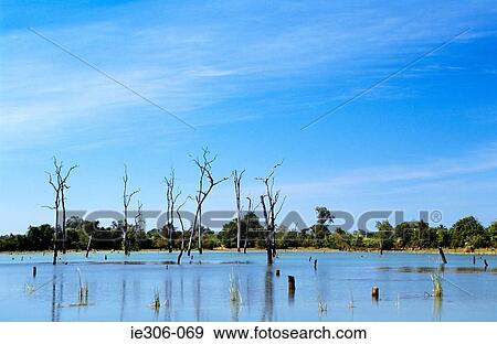 Stock Photo - Flooded area. Fotosearch