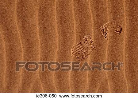 Footprint in the sand View Large Photo Image Stock Image - Footprint in the sand. Fotosearch