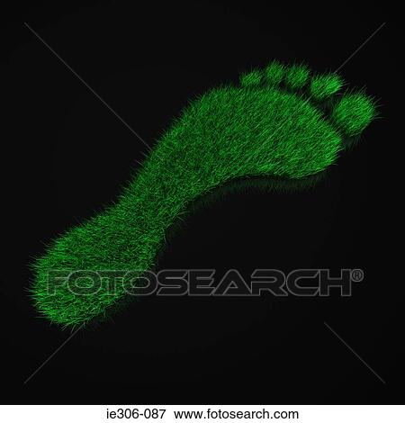 Grassy footprint View Large Photo Image Stock Photo - Grassy footprint. Fotosearch