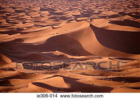 Sand dune in desert View Large Photo Image Picture - Sand dune in desert. Fotosearch