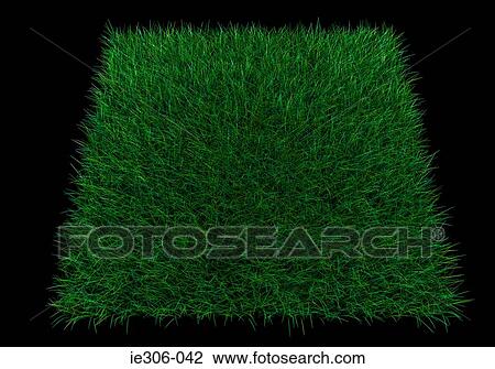 Square patch of grass View Large Photo Image Stock Image - Square patch of grass. Fotosearch