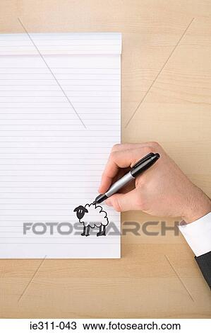 Person drawing a sheep View Large Photo Image Stock Image - Person drawing a sheep. Fotosearch