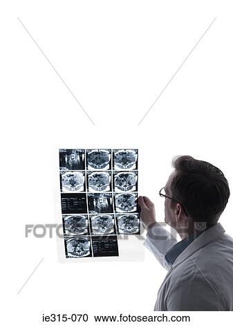 Stock Image - Doctor with mri scan. Fotosearch