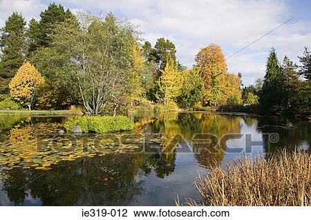 Van dusen botanical gardens vancouver View Large Photo Image Stock Image - Van dusen botanical gardens vancouver. Fotosearch