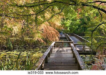 Van dusen botanical gardens vancouver View Large Photo Image Stock Image - Van dusen botanical gardens vancouver. Fotosearch