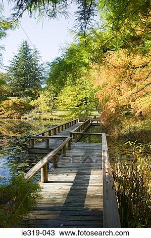 Van dusen botanical gardens vancouver View Large Photo Image Stock Image - Van dusen botanical gardens vancouver. Fotosearch