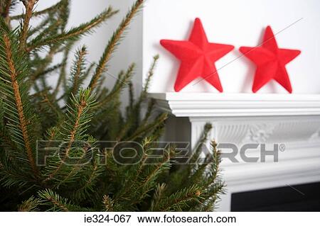 A christmas tree and star christmas decorations View Large Photo Image Stock Photo - A christmas tree and star christmas decorations. Fotosearch