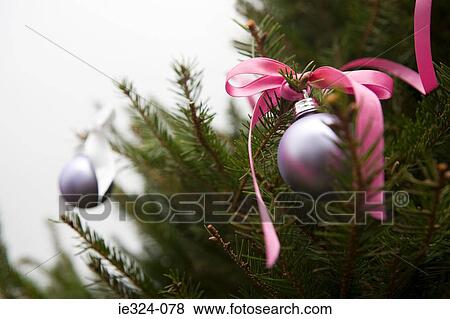 Christmas decorations on a tree View Large Photo Image Stock Photo - Christmas decorations on a tree. Fotosearch