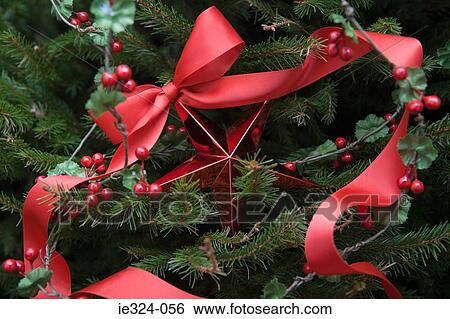 Christmas decorations on a tree View Large Photo Image Stock Photograph - Christmas decorations on a tree. Fotosearch
