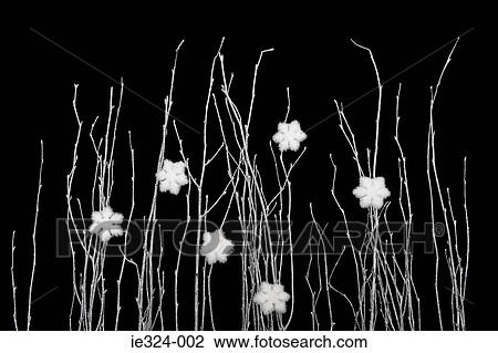 Twigs and snowflakes View Large Photo Image Stock Image - Twigs and snowflakes. Fotosearch