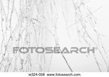 Twigs View Large Photo Image Stock Photo - Twigs. Fotosearch