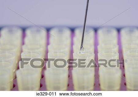 Syringe placing a droplet of liquid in test tube View Large Photo Image Stock Image - Syringe placing a droplet of liquid in test tube. Fotosearch