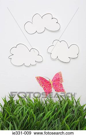 A butterfly View Large Photo Image Stock Photo - A butterfly. Fotosearch