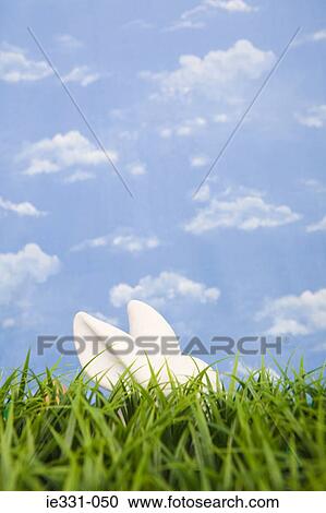 A rabbit hiding behind grass View Large Photo Image Stock Image - A rabbit hiding behind grass. Fotosearch