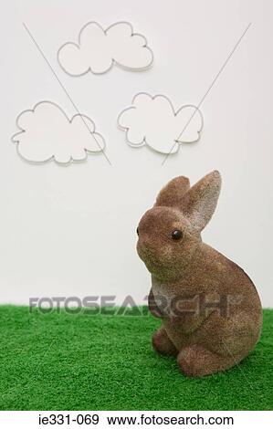 A rabbit View Large Photo Image Stock Photo - A rabbit. Fotosearch